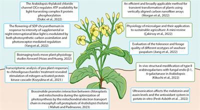 Editorial: Women in plant physiology: 2022